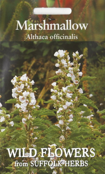 Echte Eibisch (Althaea officinalis) 200 Samen